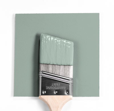 Paint Color on Brush in front of dry color swatch. Raindance 1572