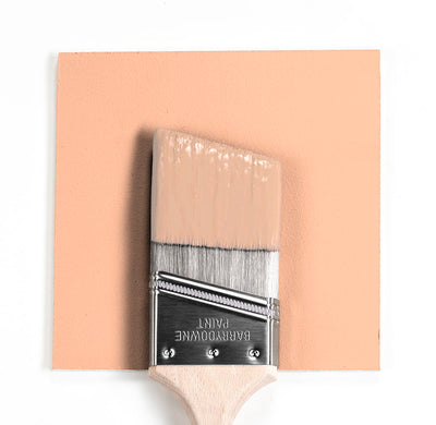 088 Summer Peach Classic Brush Mock Up