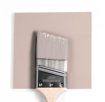 1010 Rosedust Paint Brush Mock Up