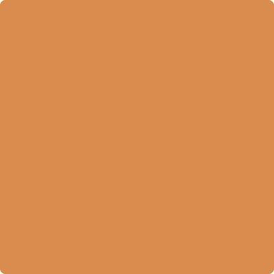 Wet and dry colour sample of Benjamin Moore 126, Pumpkin Spice.