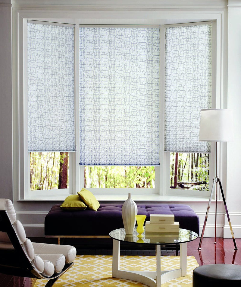 Hunter Douglas Window Treatments Pleated Shades Detail