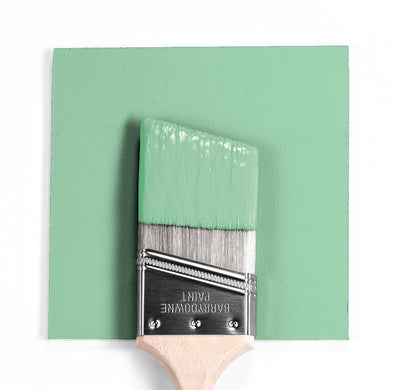 Benjamin Moore Colour 2034-50 Acadia Green wet, dry colour sample.