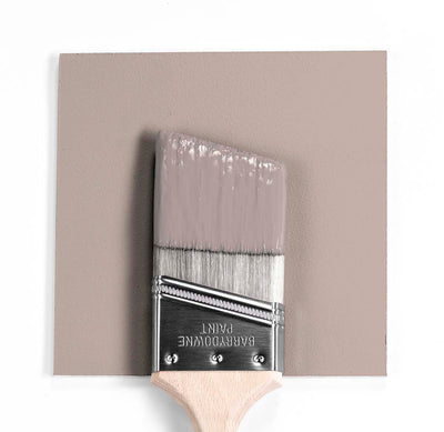 2107-50 Sandlot brush mock up