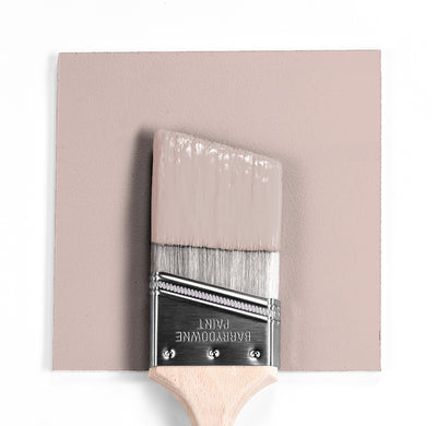 Benjamin Moore Colour 2110-50 Gobi Desert wet, dry colour sample.