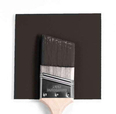 2128-10 Black Beauty Wet & Dry Colour Sample