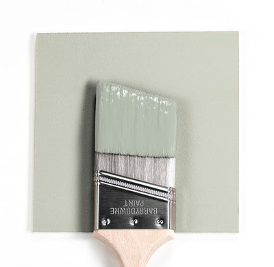 506 Silver Sage Paint Brush Mock Up