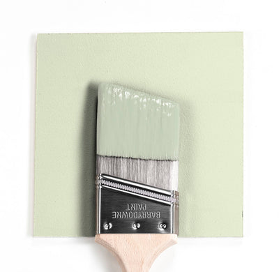 533 Calming Aloe Paint Brush Mock up