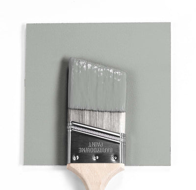 Benjamin Moore Colour HC-169 Coventry Gray wet, dry colour sample.