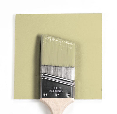 Benjamin Moore Colour HC-1 Castle Mist wet, dry colour sample.