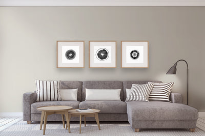 Benjamin Moore Colour OC-23 Classic Gray