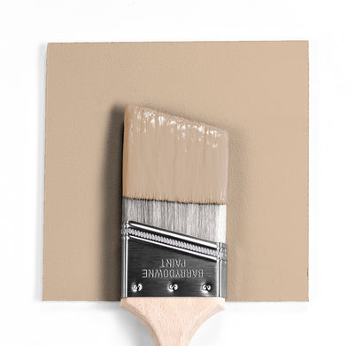 Benjamin Moore Colour CC-320 Bar Harbour Beige wet, dry colour sample.