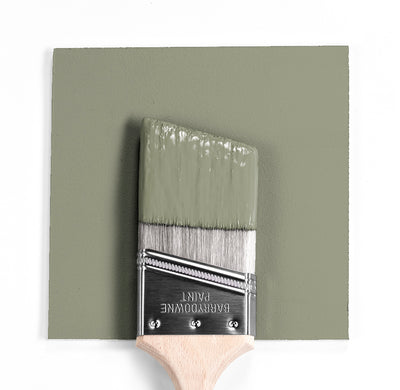 Benjamin Moore Colour CC-560 Raintree Green wet, dry colour sample.