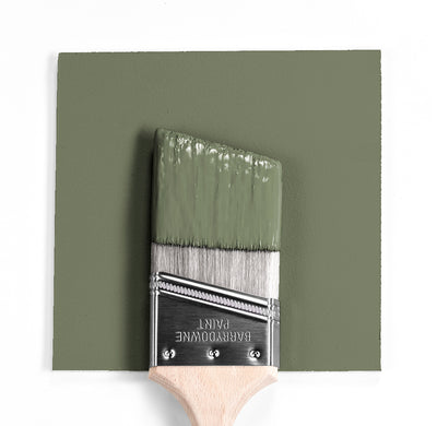 Benjamin Moore Colour CC-600 Mossy Oak wet, dry colour sample.