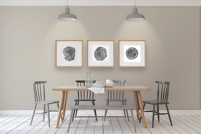 Benjamin Moore Colour OC-28 Collingwood