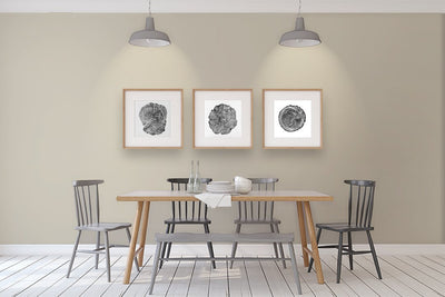 Benjamin Moore Colour HC-173 Edgecomb Gray