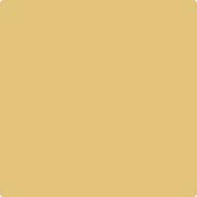 Benjamin Moore Colour HC-11 Marblehead Gold wet, dry colour sample.