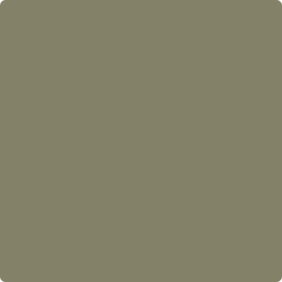Benjamin Moore Colour HC-112 Tate Olive wet, dry colour sample.