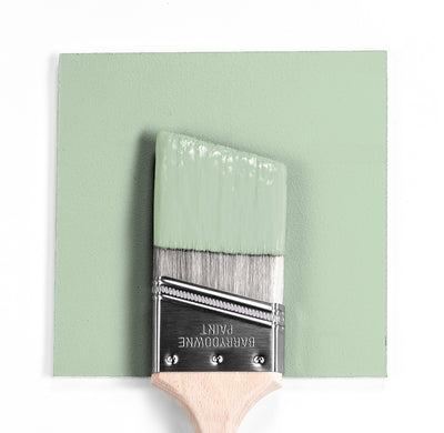 Benjamin Moore Colour HC-120 Vanalen green wet, dry colour sample.