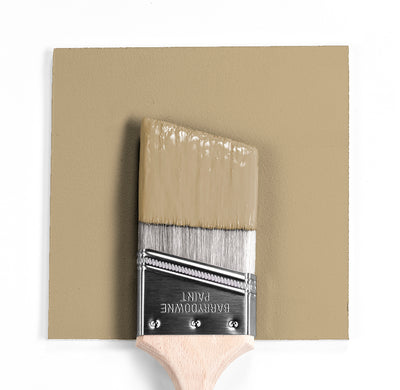 Benjamin Moore Colour HC-91 Danville Tan wet, dry colour sample.