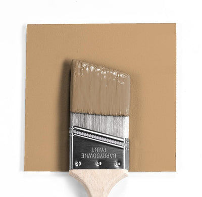 Benjamin Moore Colour HC-42 Roxbury Caramel wet, dry colour sample.