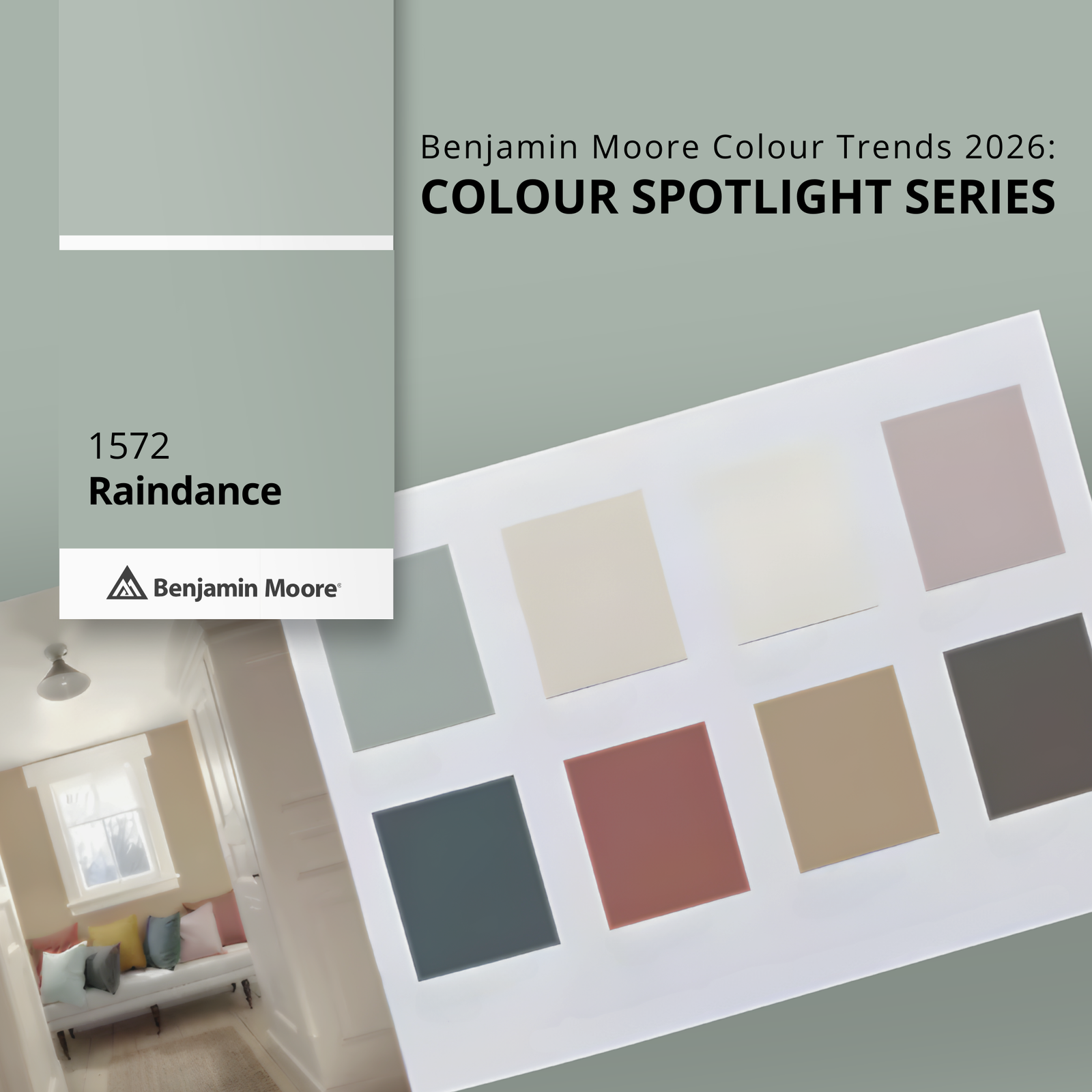 Raindance 1572: A Cool, Calm Neutral from the Benjamin Moore Colour Trends 2026 Palette