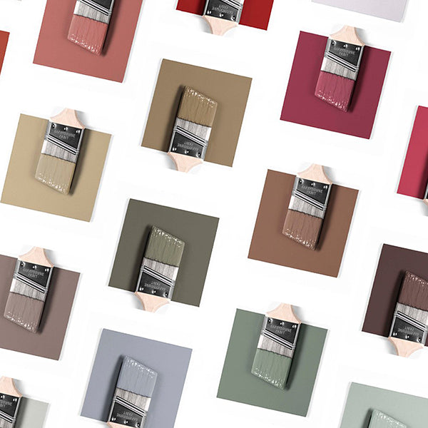 A Celebration of Colour Trends