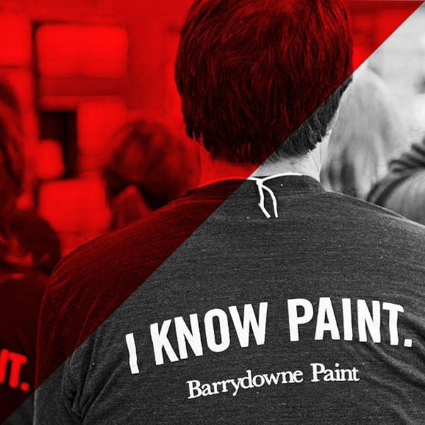 “Paint Experts” Campaign