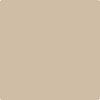 1032 Bar Harbor Beige "Shake & Take" Aura® Interior Paint satin - GAL