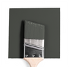 Benjamin Moore Colour 1484 Ashwood Moss | wet, dry colour sample.