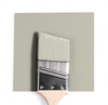 Benjamin Moore Colour 1501 Paris Rain | wet, dry colour sample.