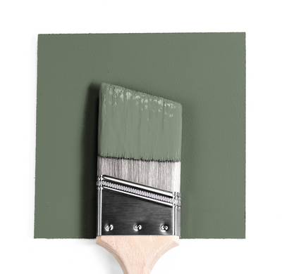 Benjamin Moore Colour 461 Rosepine | wet, dry colour sample.