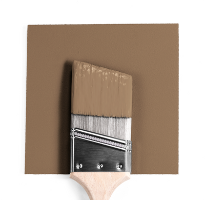 Benjamin Moore Colour CW-195 Chowning's Tan | wet, dry colour sample.