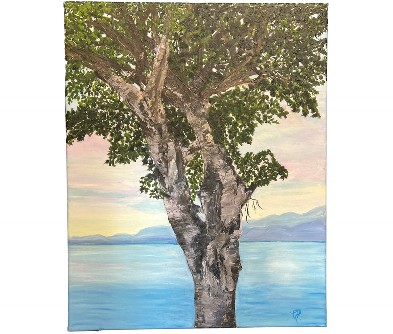 Fig Tree Farm, Mexico by Nicole Preseau