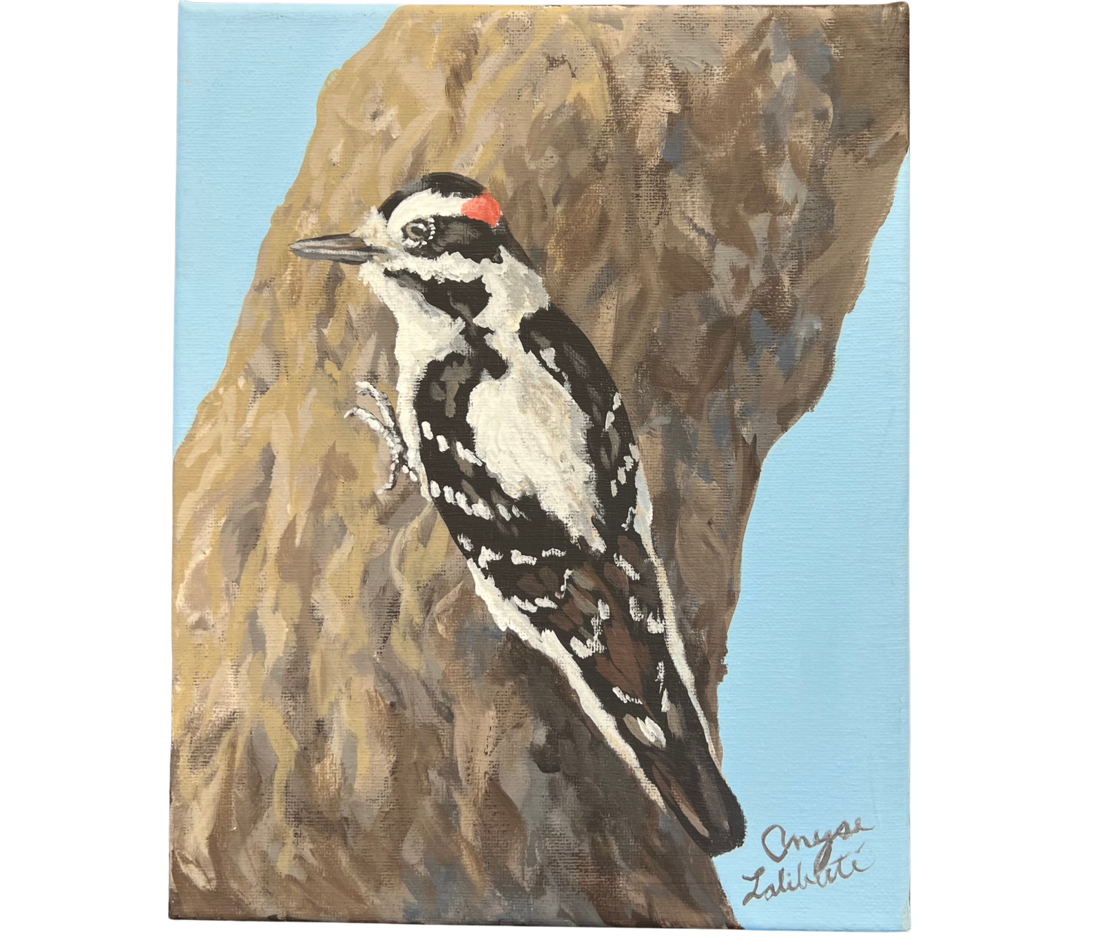 A painting by local Sudbury artist Anyse Laliberte titled Hairy Woodpecker available at Barrydowne Paints, Long Lake location.