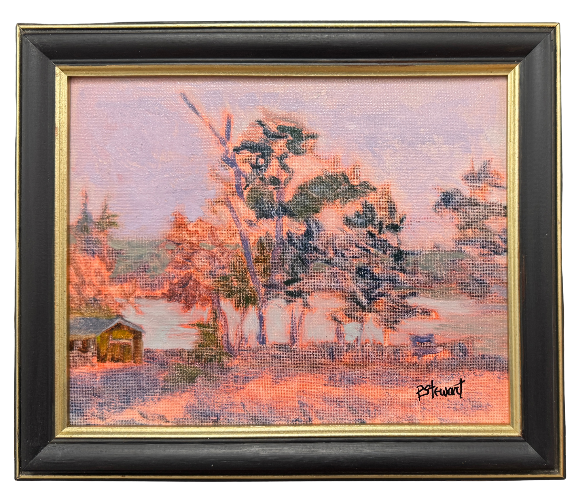 Minnow Lake on a Foggy Day by Paulette Stewart