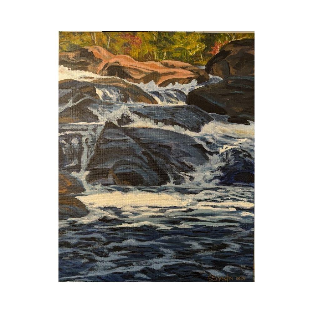 A Day at The Falls by Pauline Silvestri