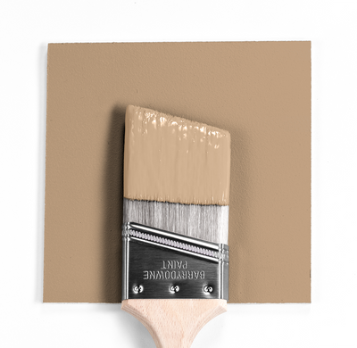 Paint Color on Brush in front of dry color swatch. Sherwood Tan 1054