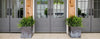 Aura Grand Entrance for front doors