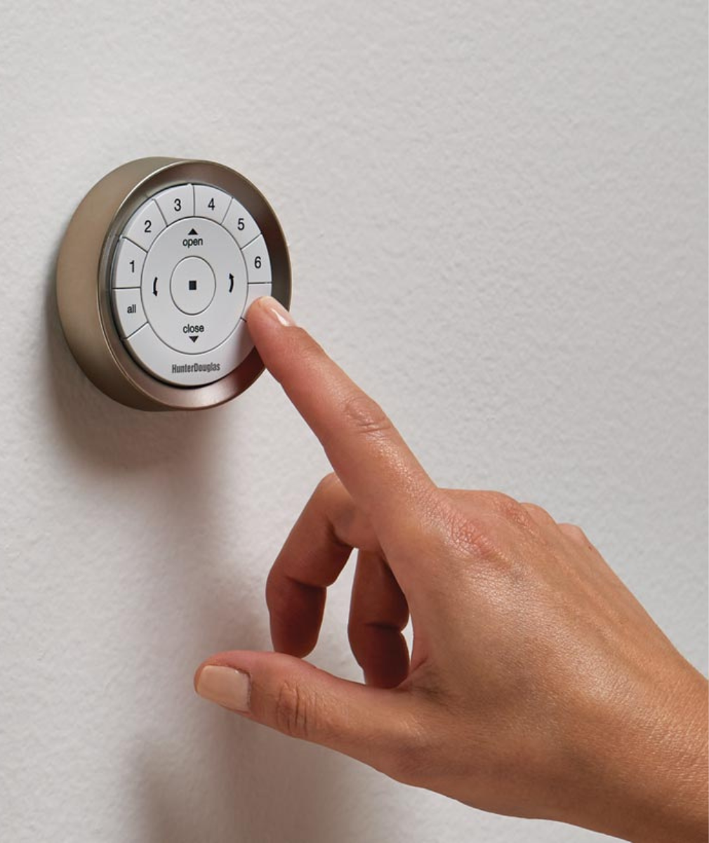 Hunter Douglas PowerView Pebble Surface Remote