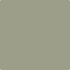 CC-560 Raintree Green "Shake & Take" ben Interior Paint Eggshell - GAL