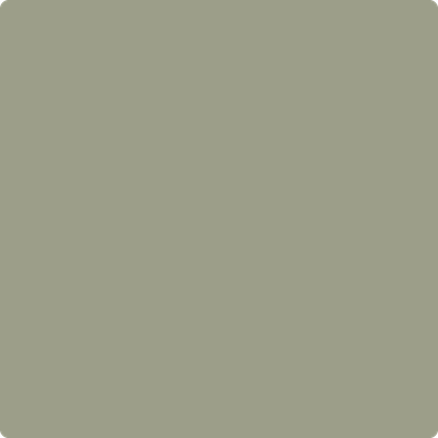 CC-560 Raintree Green "Shake & Take" ben Interior Paint Eggshell - GAL