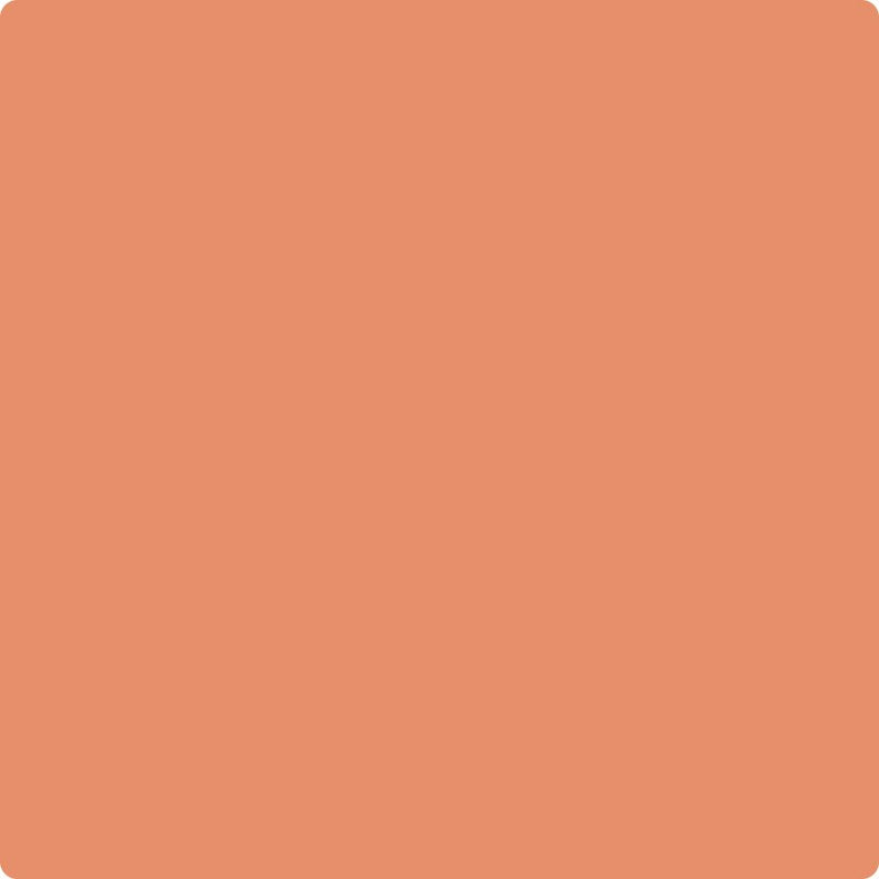 Benjamin Moore Colour 075 Flamingo Orange