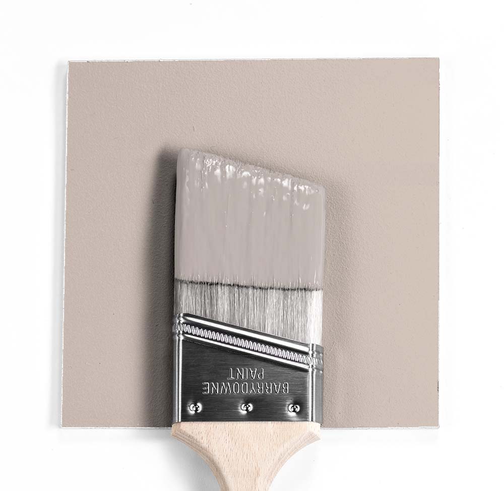 Rose Dust Paint Sample by Benjamin Moore (1010) | Peel & Stick Paint Sample