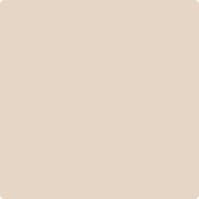Wet and dry colour sample of Benjamin Moore 1079,  Bayshore Beige.