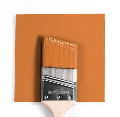 Wet and dry colour sample of Benjamin Moore 126, Pumpkin Spice.
