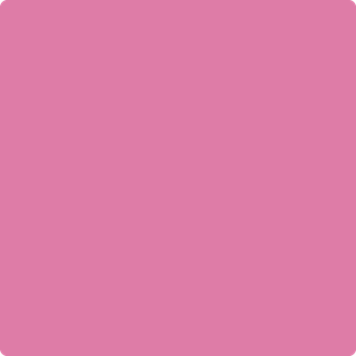 1347 Pink Ladies
