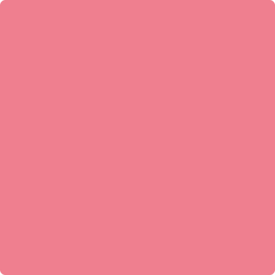 Benjamin Moore Colour 2003-40 True Pink