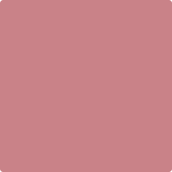 2005-40 Genuine Pink - Barrydowne Paint