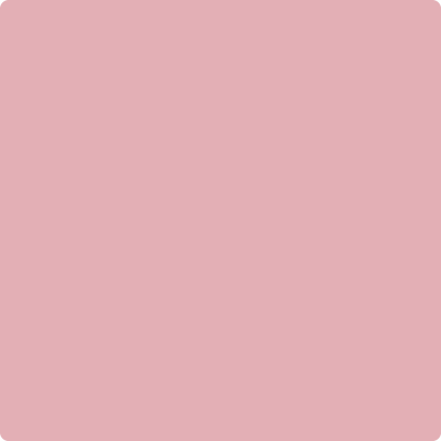 2005-50 Pink Eraser