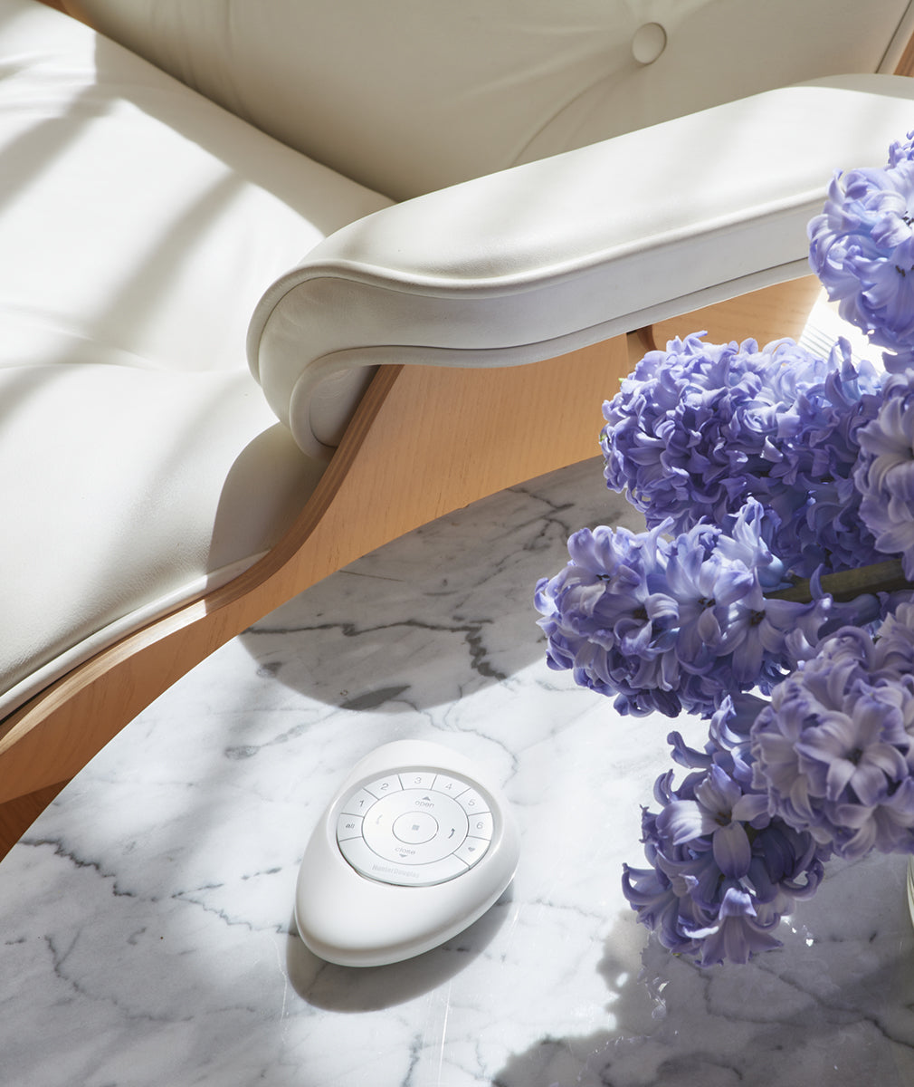 Hunter Douglas PowerView Pebble Remote Control